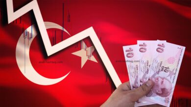 الليرة التركية تنخفض مبددة المكاسب التي حققتها الأسبوع الماضي